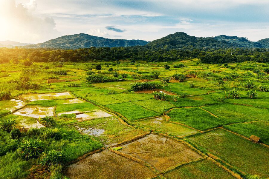 Rural landscape in Malawi, Africa